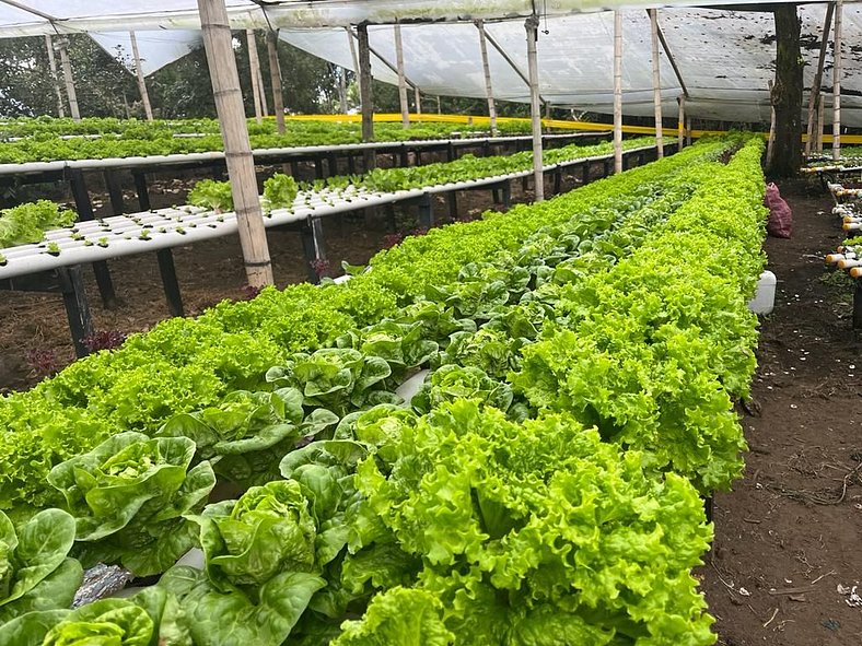 Finca Amanzi en la Vereda El Tablazo cerca a Llanogrande